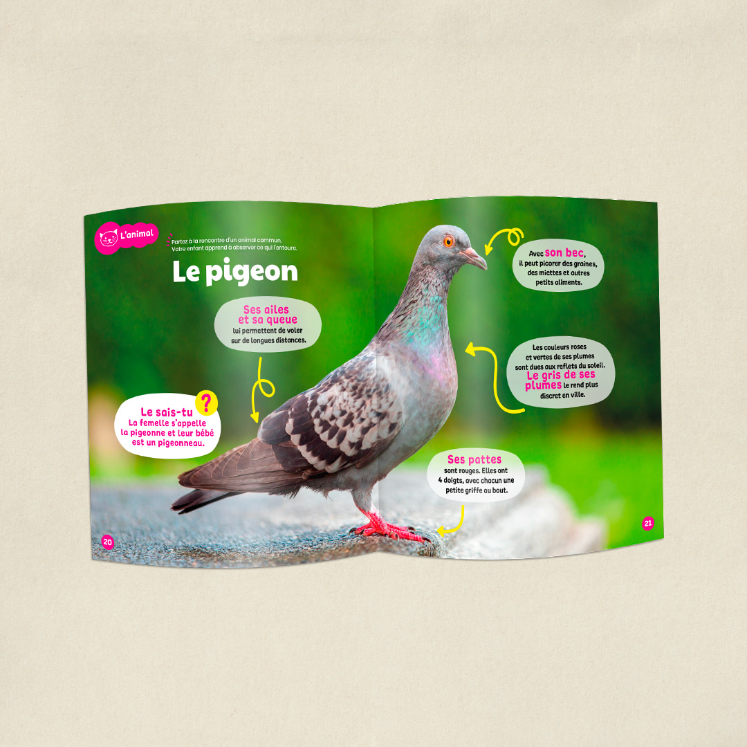 Les métiers du cinéma