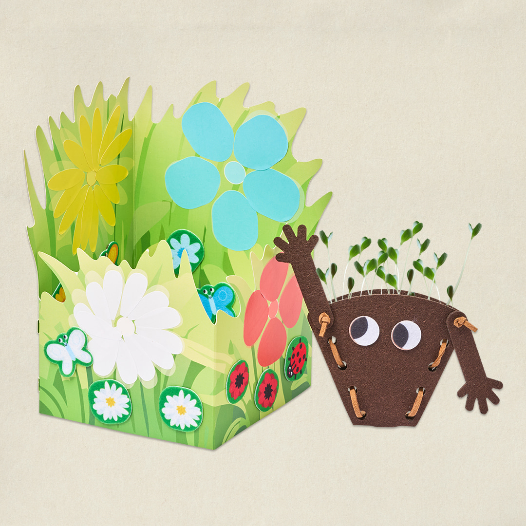 Les fleurs des champs