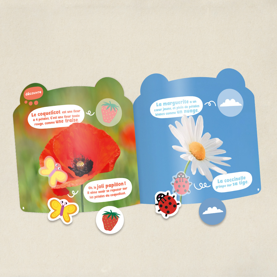 Les fleurs des champs