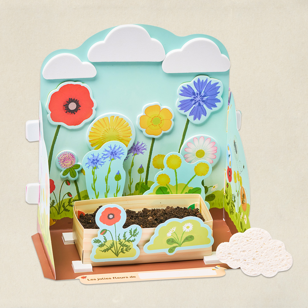 Les fleurs des champs