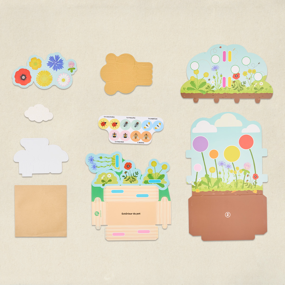 Les fleurs des champs