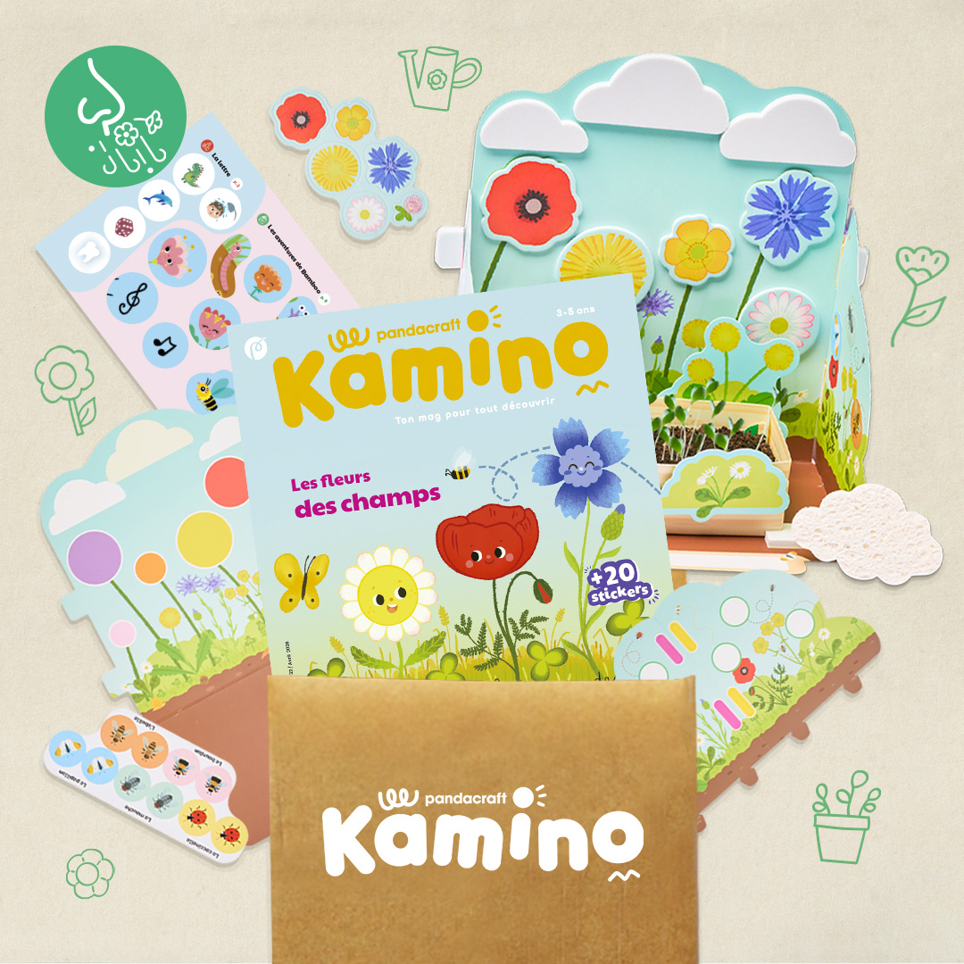 Les fleurs des champs