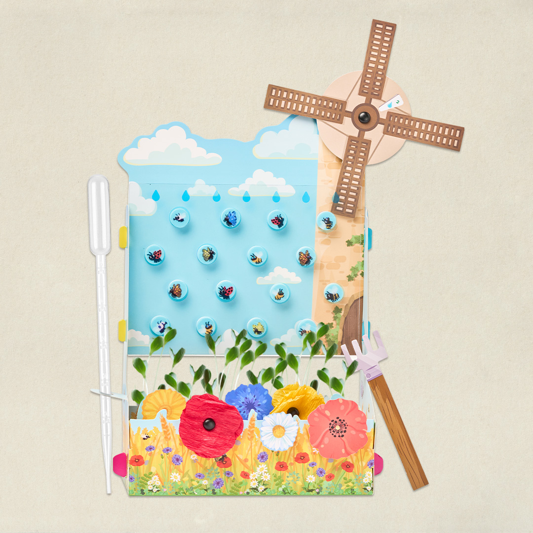 Les fleurs des champs