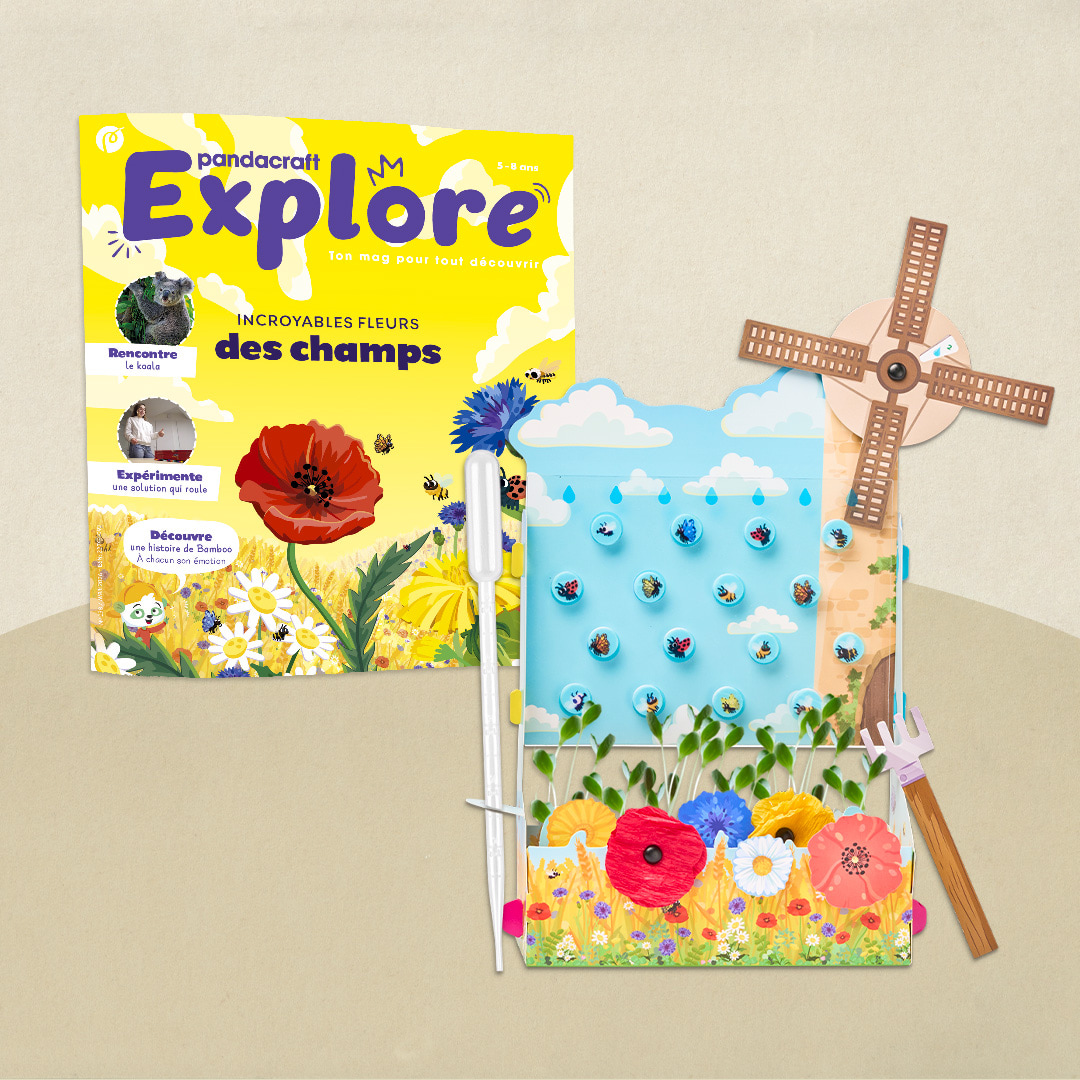 Les fleurs des champs