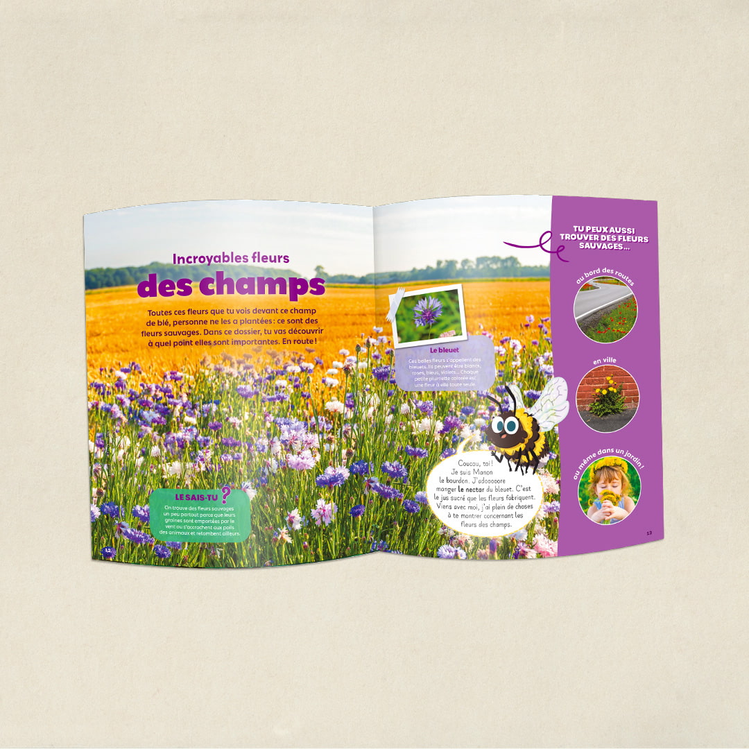 Les fleurs des champs