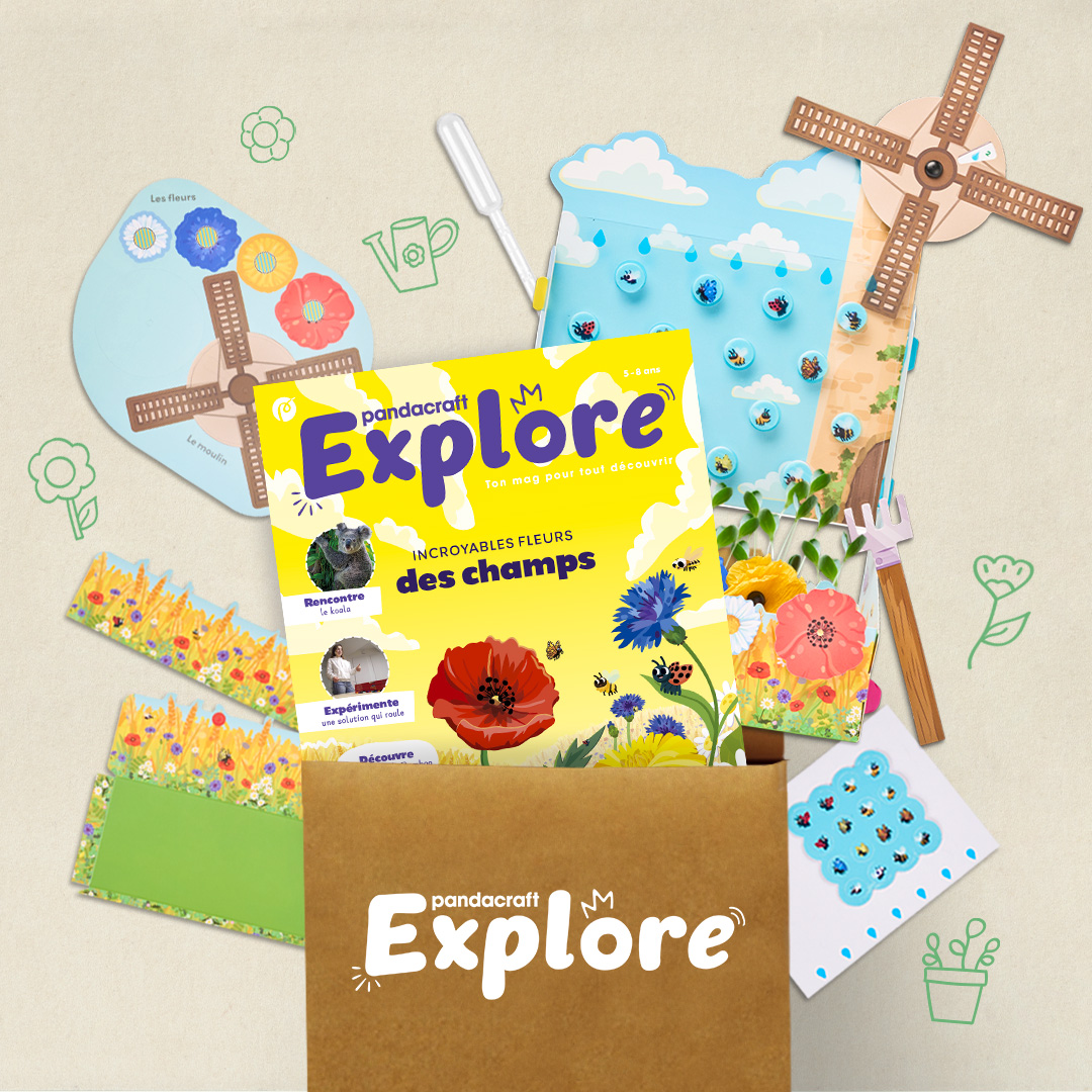 Les fleurs des champs