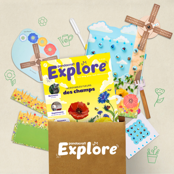 Les fleurs des champs