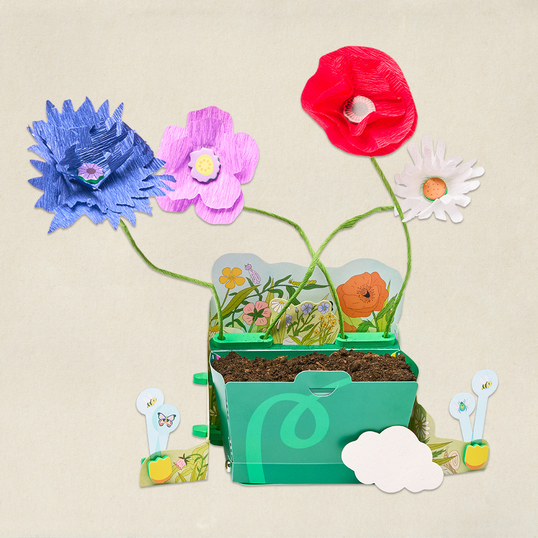 Les fleurs des champs