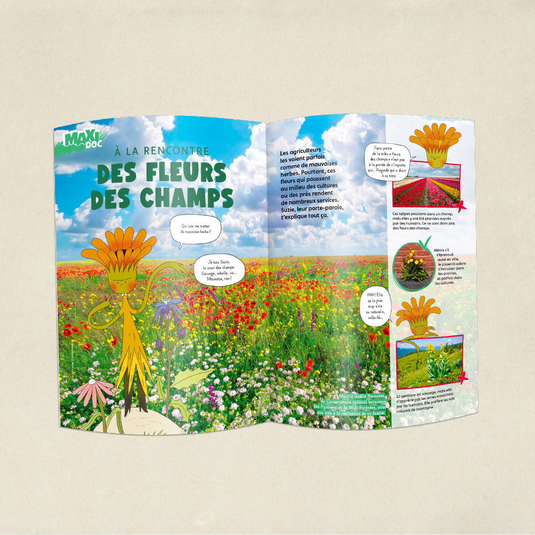 Les fleurs des champs