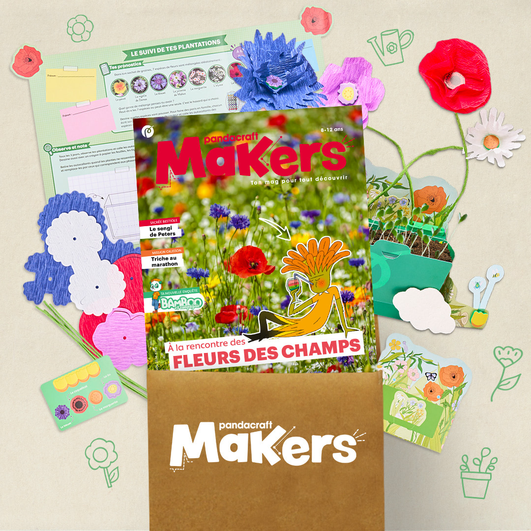 Les fleurs des champs