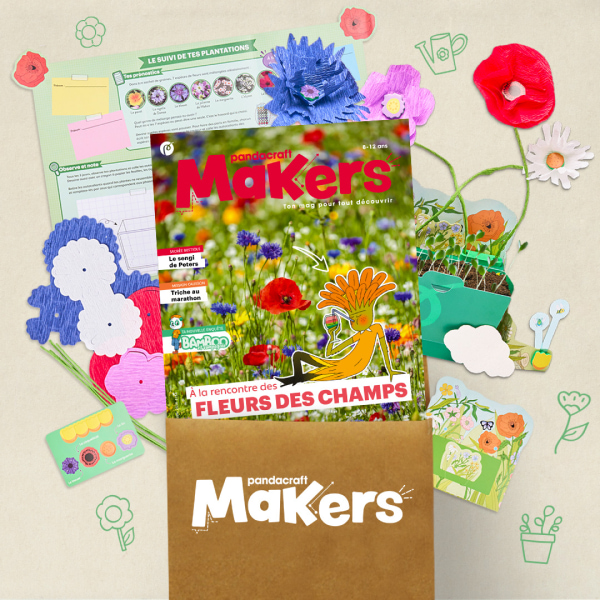 Les fleurs des champs