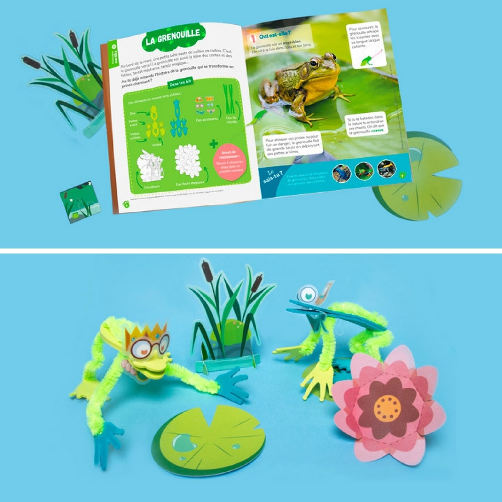 Le réveil des grenouilles