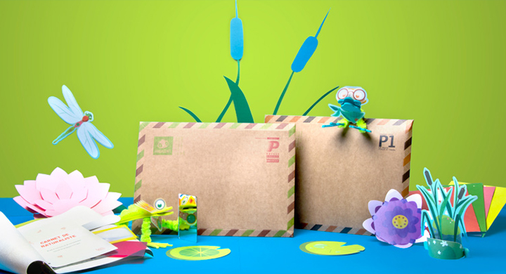 Le réveil des grenouilles
