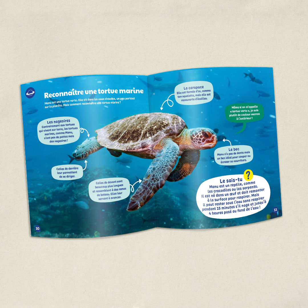 Les Tortues marines