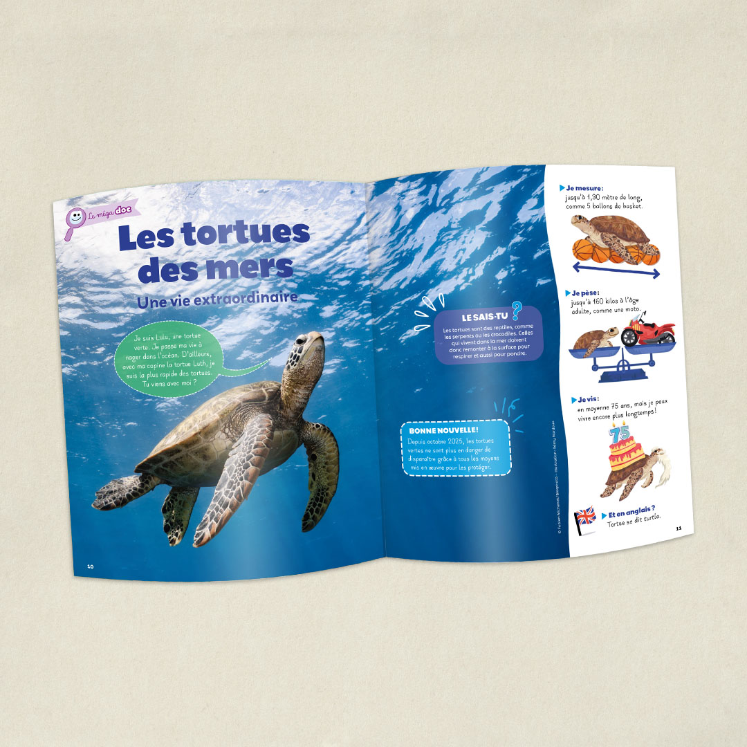 Les Tortues marines