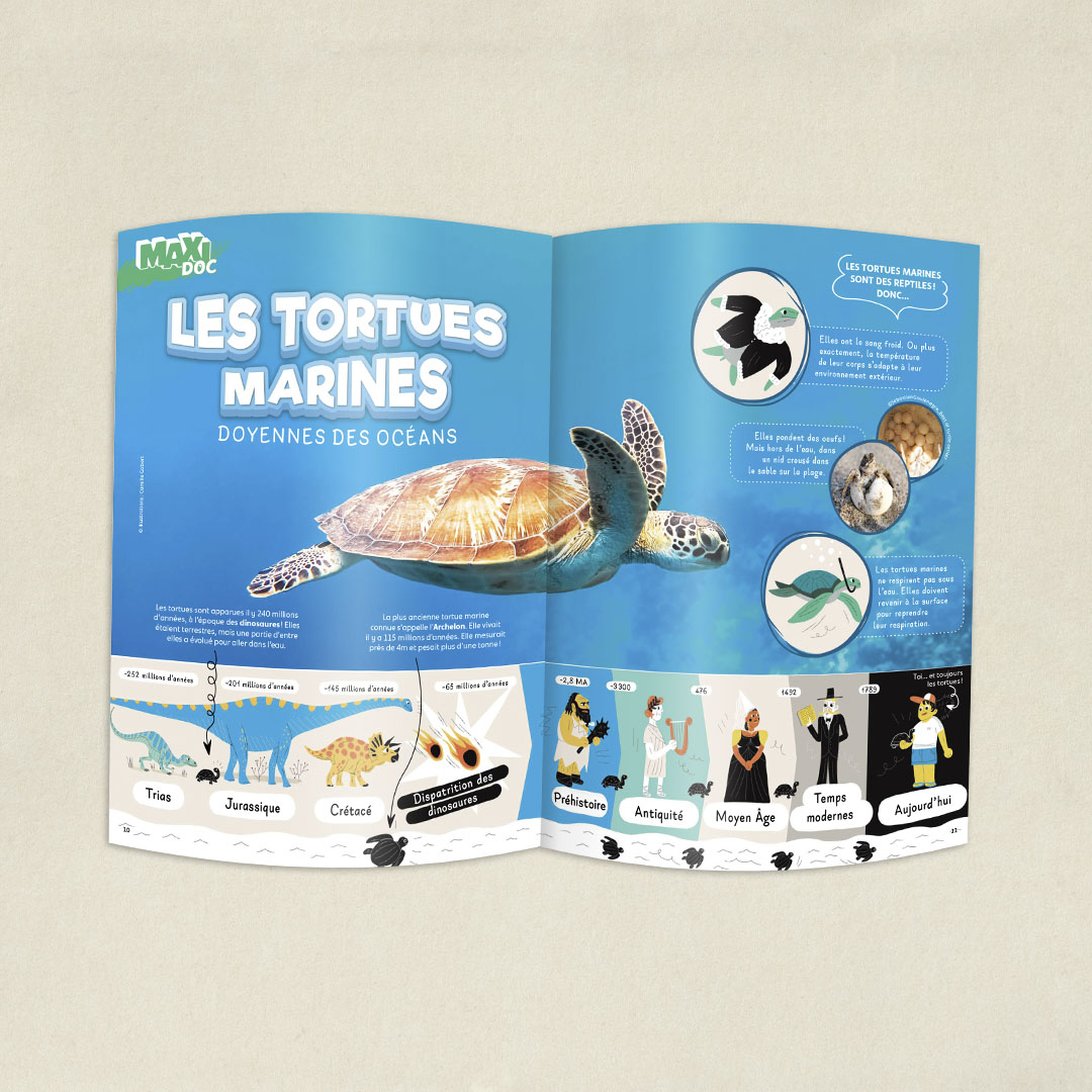 Les Tortues marines
