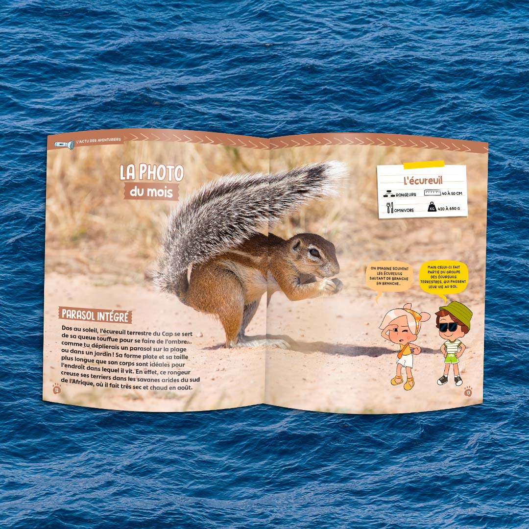 Le Dauphin