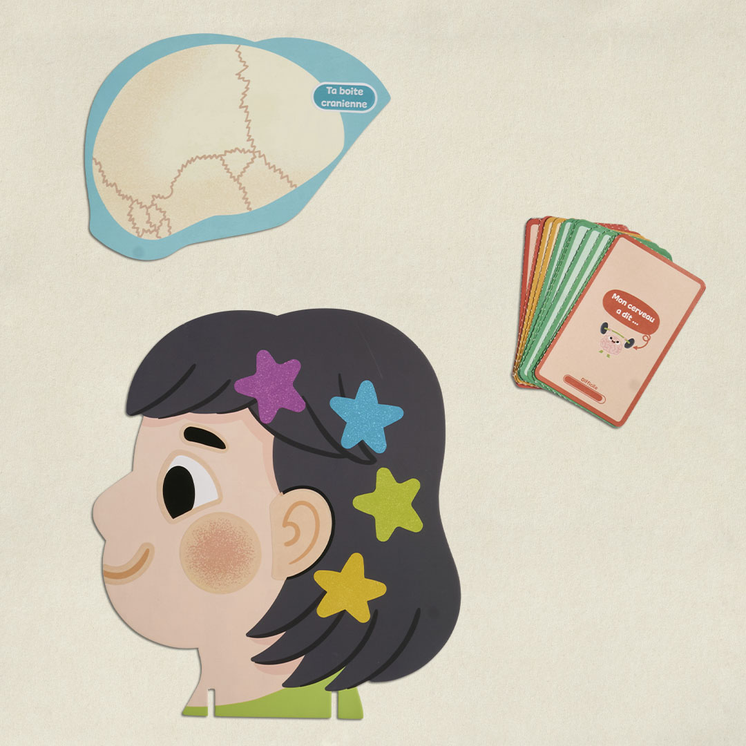 Le Cerveau