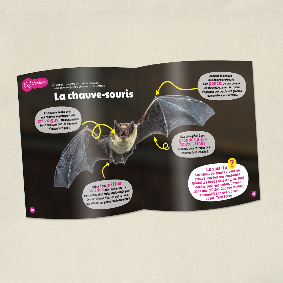 Le Cerveau