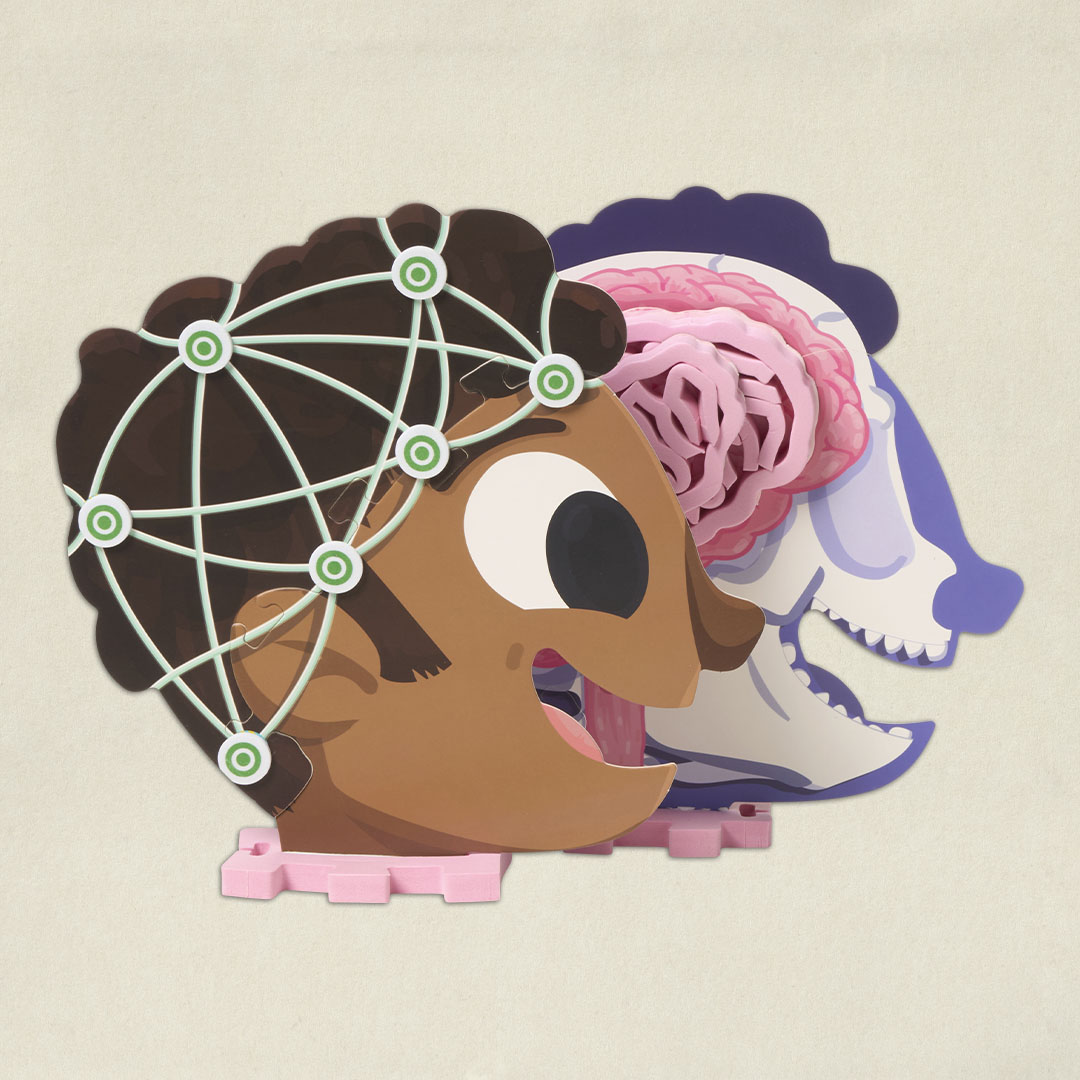 Le Cerveau