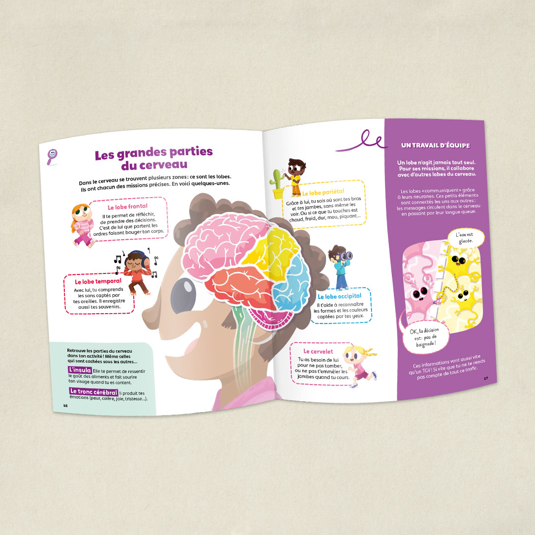 Le Cerveau