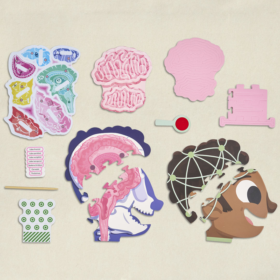 Le Cerveau