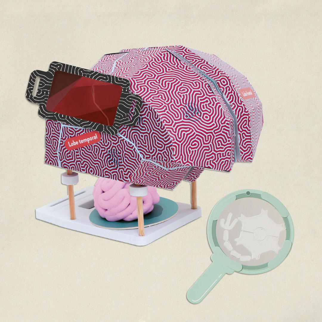 Le Cerveau