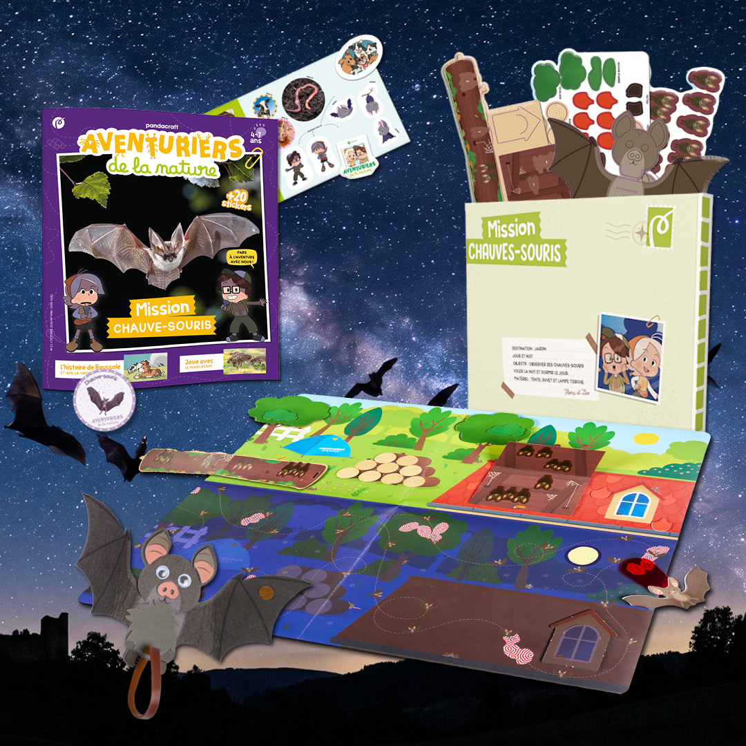 La Chauve-souris