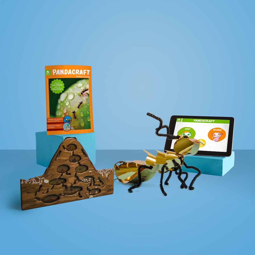 Les insectes