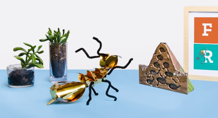 Les insectes