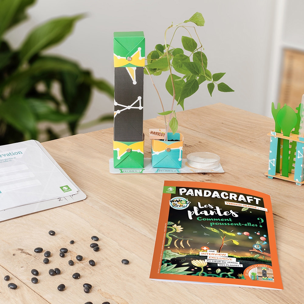 Les plantes