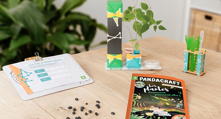 Les plantes