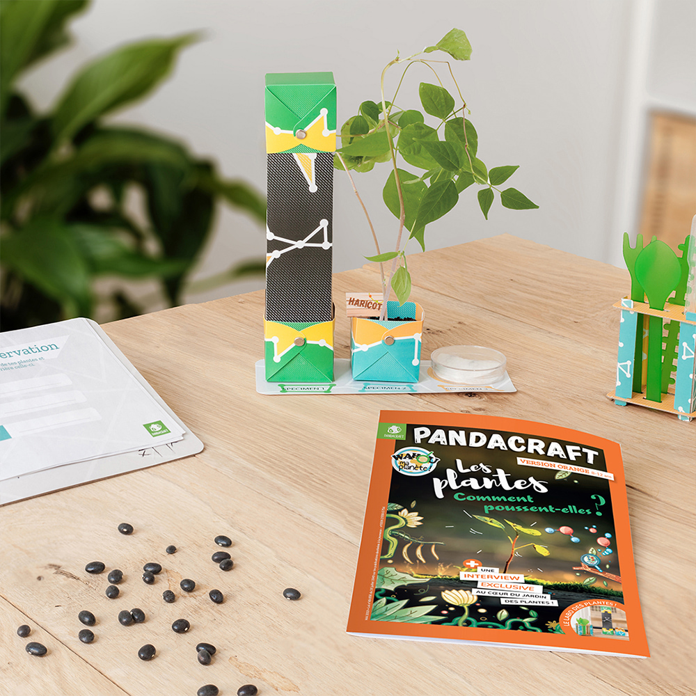 Les plantes