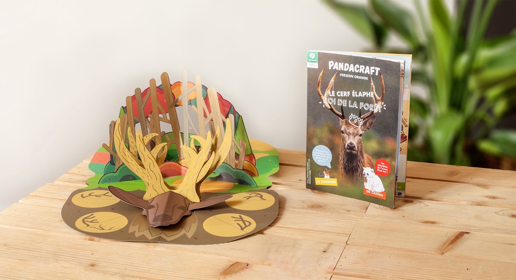 Le cerf élaphe, le roi de la forêt