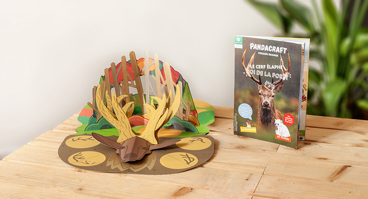 Le cerf, le roi de la forêt