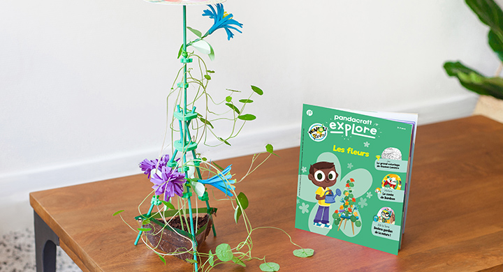 Plante des fleurs !