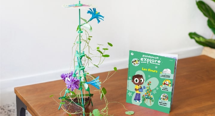 Plante des fleurs !