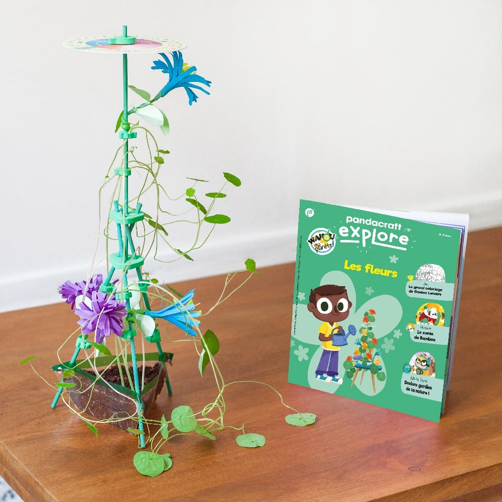 Plante des fleurs !