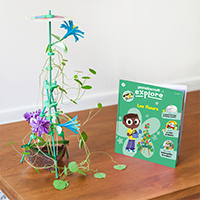 Plante des fleurs !