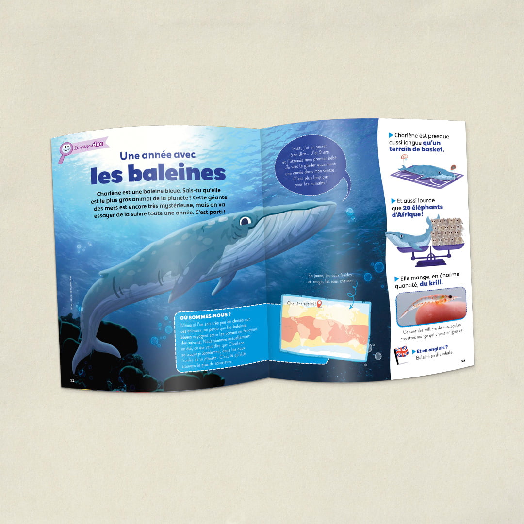 Les baleines 