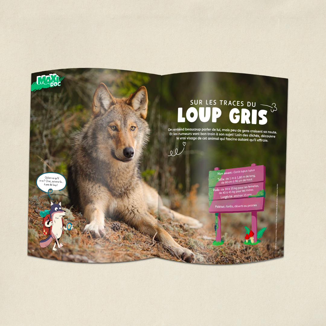 Le loup